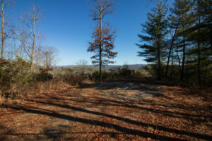 12 Lots 1 3 4 5 6 7 8 Heartwood Hollow