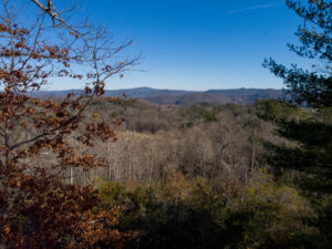 13 Lots 1 3 4 5 6 7 8 Heartwood Hollow