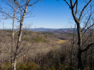 14 Lots 1 3 4 5 6 7 8 Heartwood Hollow