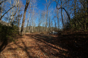 16 Lots 1 3 4 5 6 7 8 Heartwood Hollow