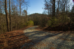 8 Lots 1 3 4 5 6 7 8 Heartwood Hollow