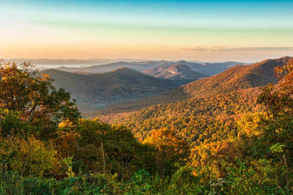 TAL brevard mountains foliage BREVARDNC0923 ca125177271f460fb419fb7216411de6