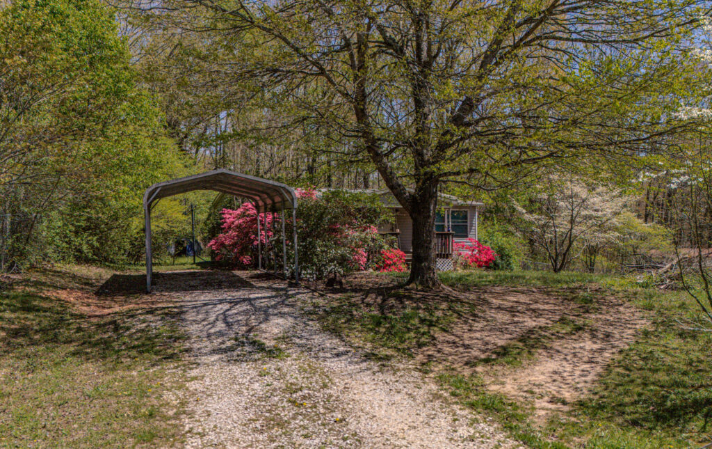 1 19 Blackberry Lane