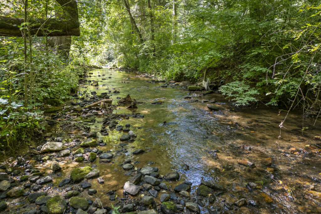 1 252 General Hill Road