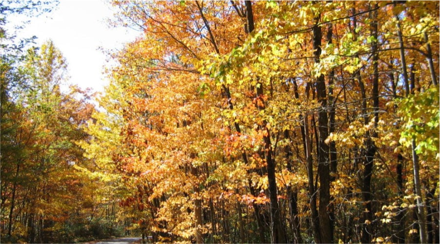 BigHill-CommunityImage