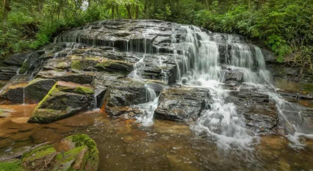 Sequoyah Woods