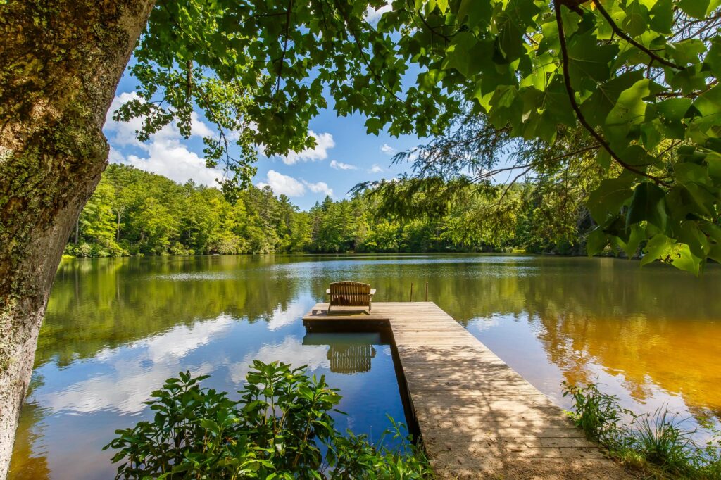 Sherwood Forest
