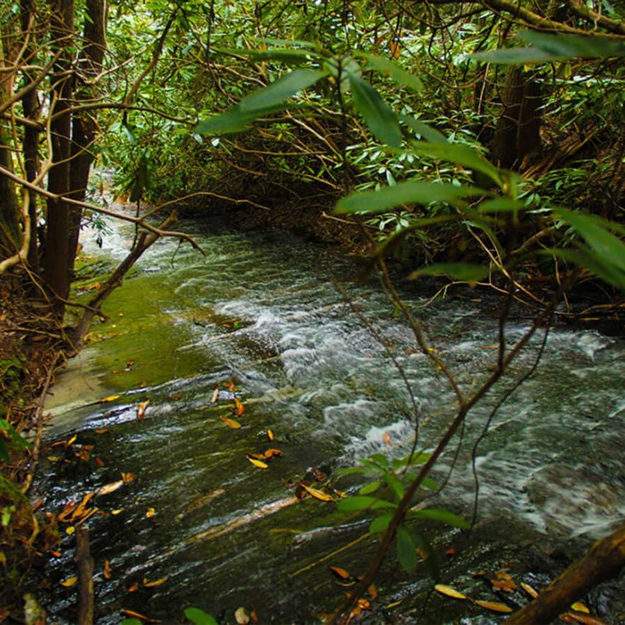 LobdellWoods 0000 lobdell waterfall 1024x682
